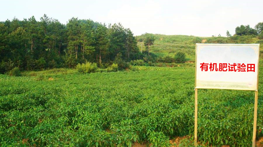 9001cc金沙以诚为本
